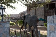 OK, elephant is leaving....